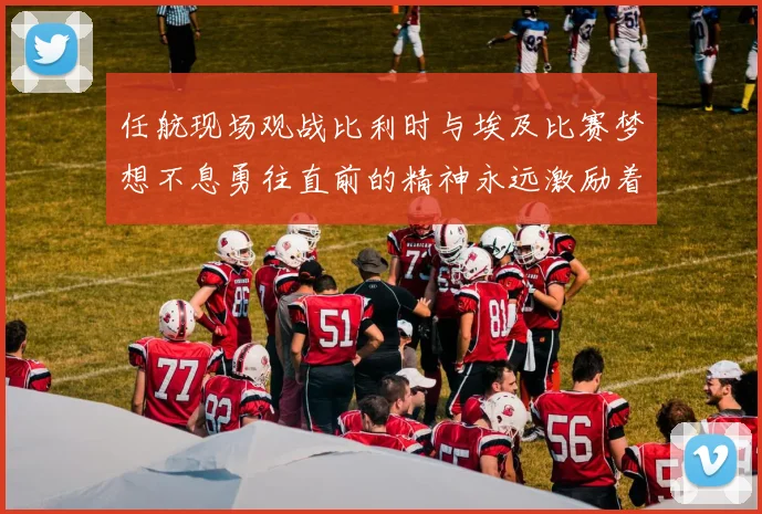 任航现场观战比利时与埃及比赛梦想不息勇往直前的精神永远激励着我们