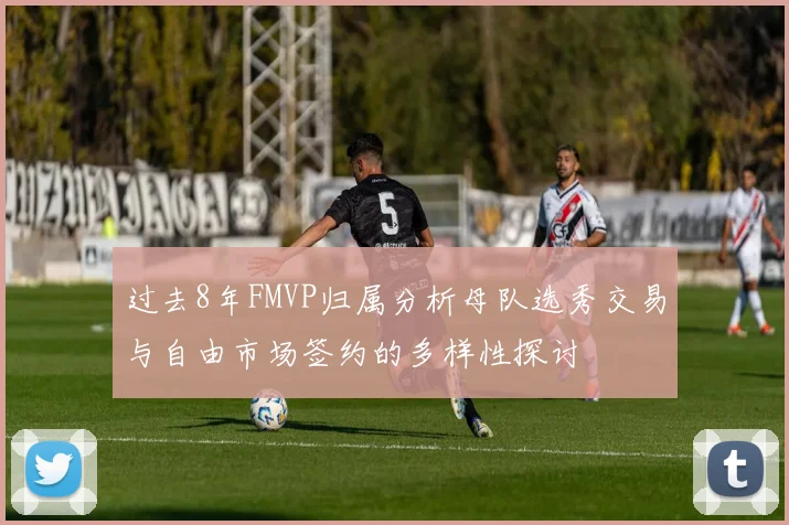 过去8年FMVP归属分析母队选秀交易与自由市场签约的多样性探讨
