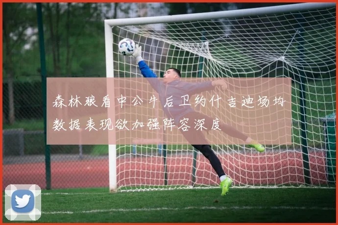 森林狼看中公牛后卫约什吉迪场均数据表现欲加强阵容深度